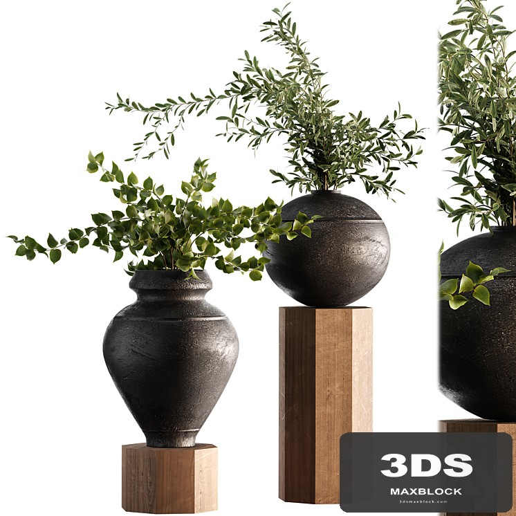 Indoor Plant Set 65