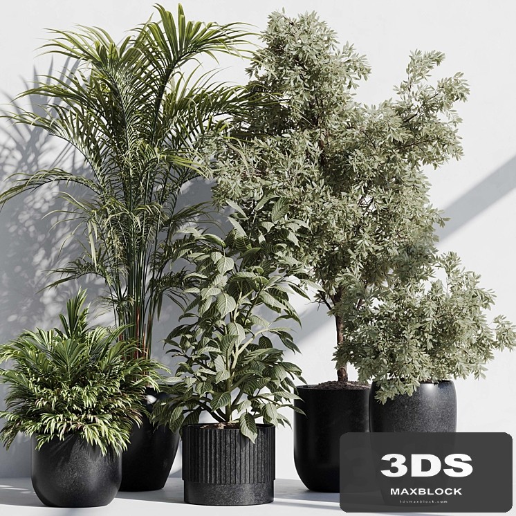 indoor plant set 85