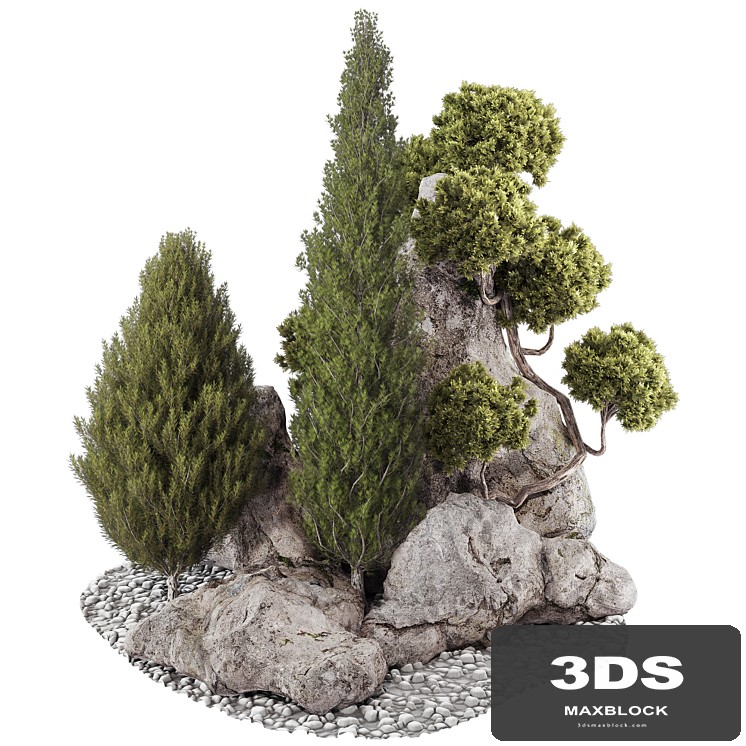 backyard and landscape pine tree garden and rocks 269