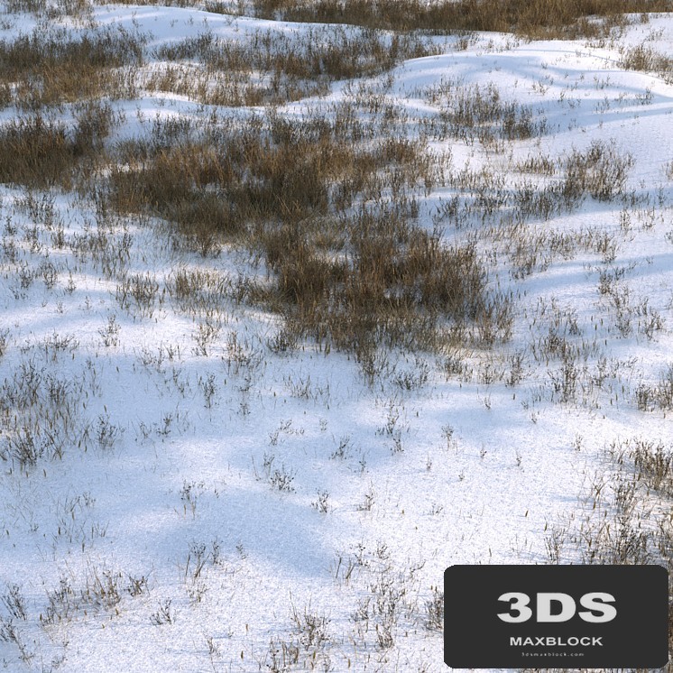 grass under snow02