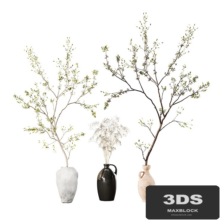 Indoor Plant 01