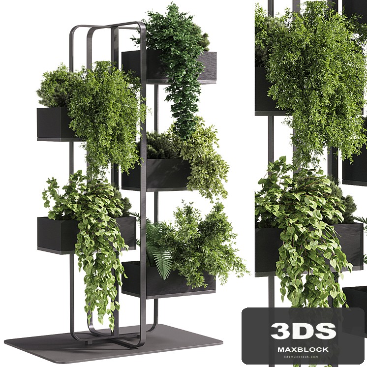 indoor plants - 53 Plant Stand