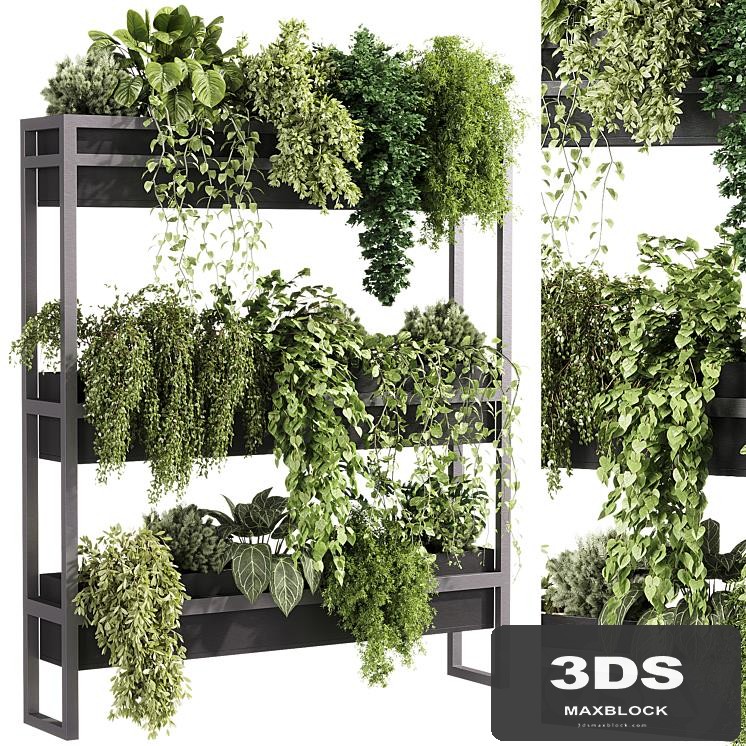 indoor plants - 54 Plant Stand