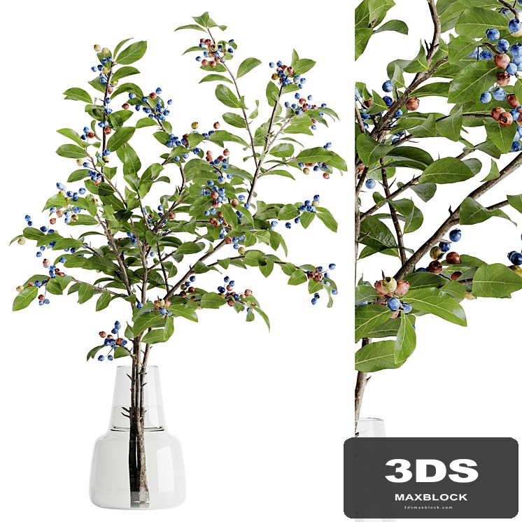 blueberry bouquet inserted into glass vase 02