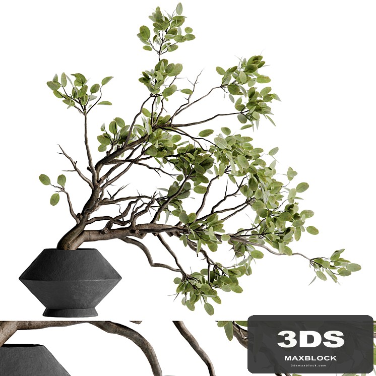 twig bouquet inserted into clay pot 02