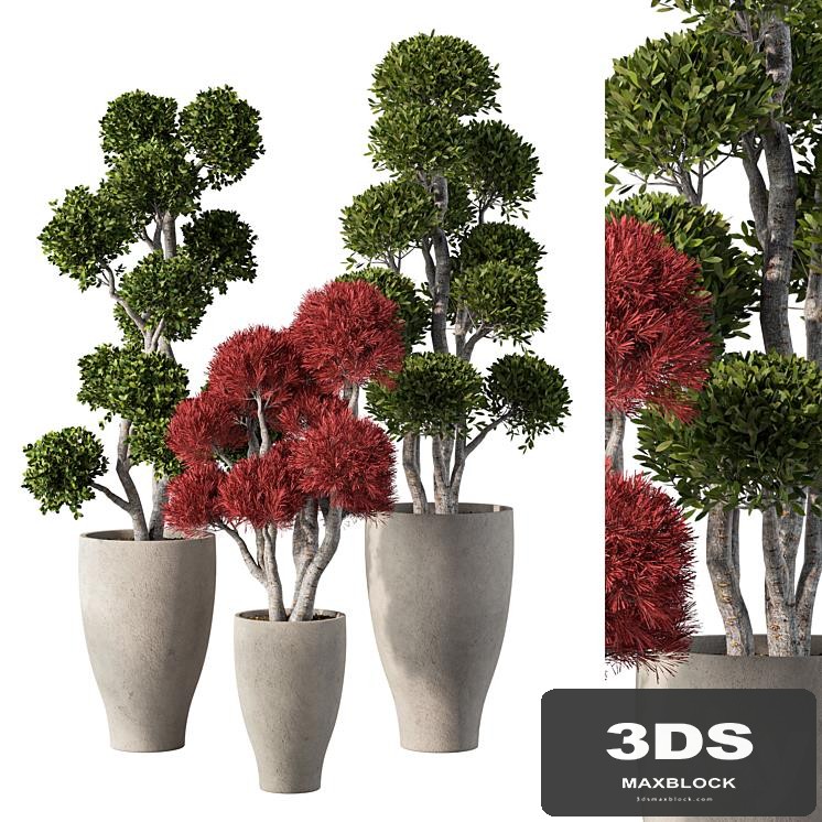 Indoor Plant Set.115