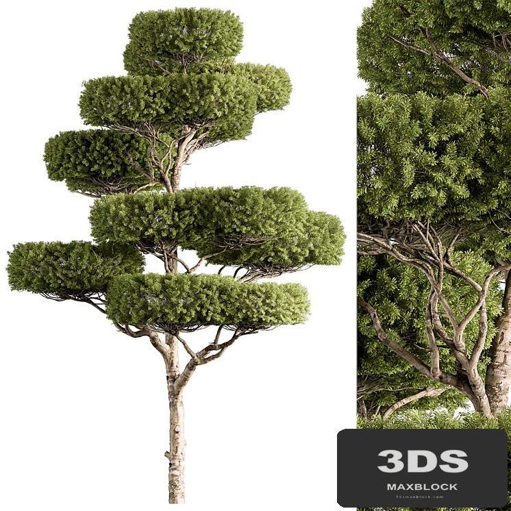 Topiary Tree - Tree Set 308