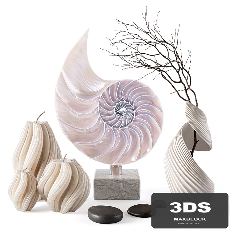 Set with nautilus shell, candles and branch