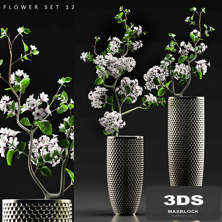 FLOWER SET 12