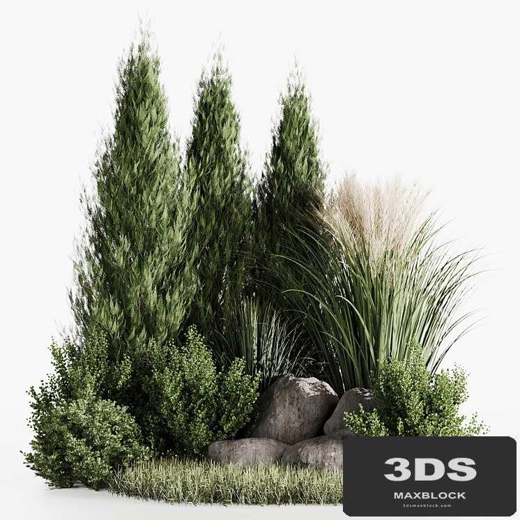 Bush set04