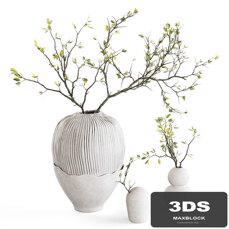 Blossoming branches in clay vases