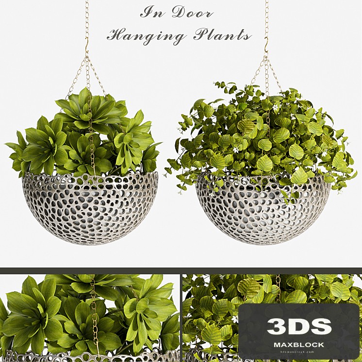 PLANT SET -62