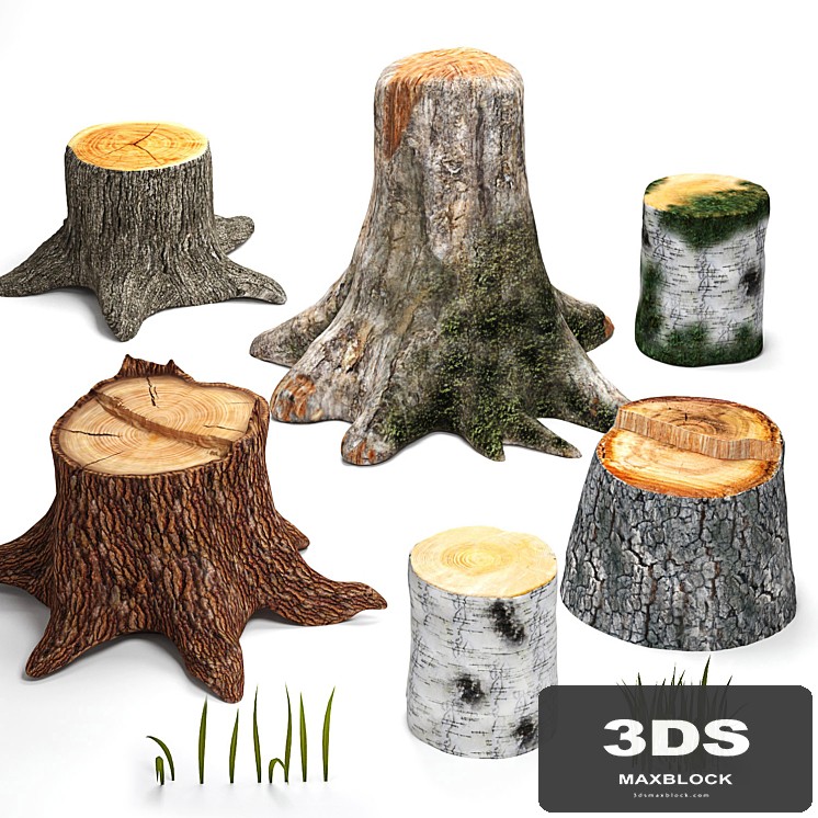 Tree stumps collection &amp; grass