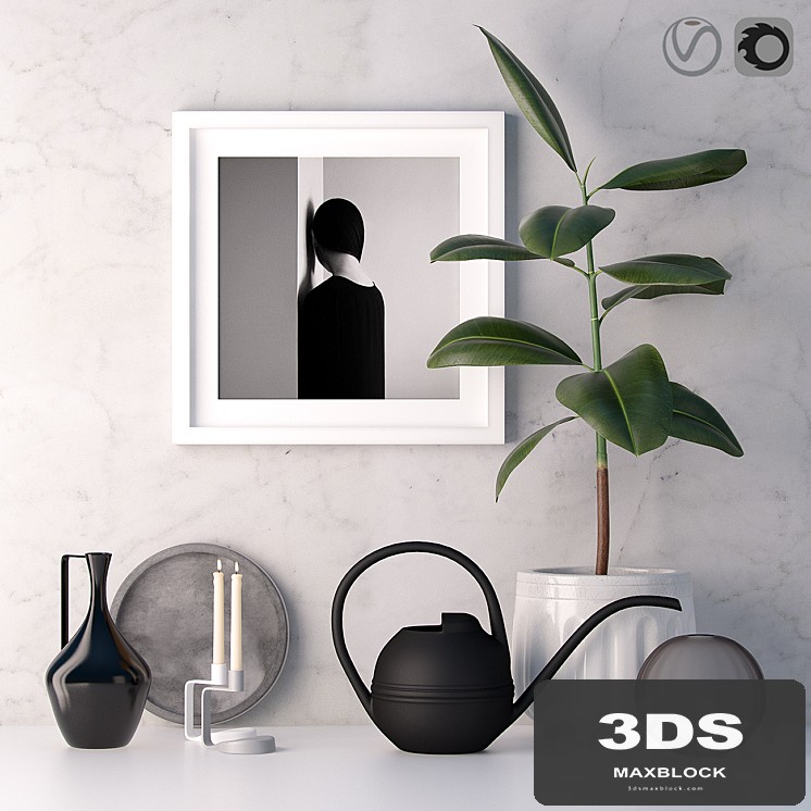 Decorative set with ficus