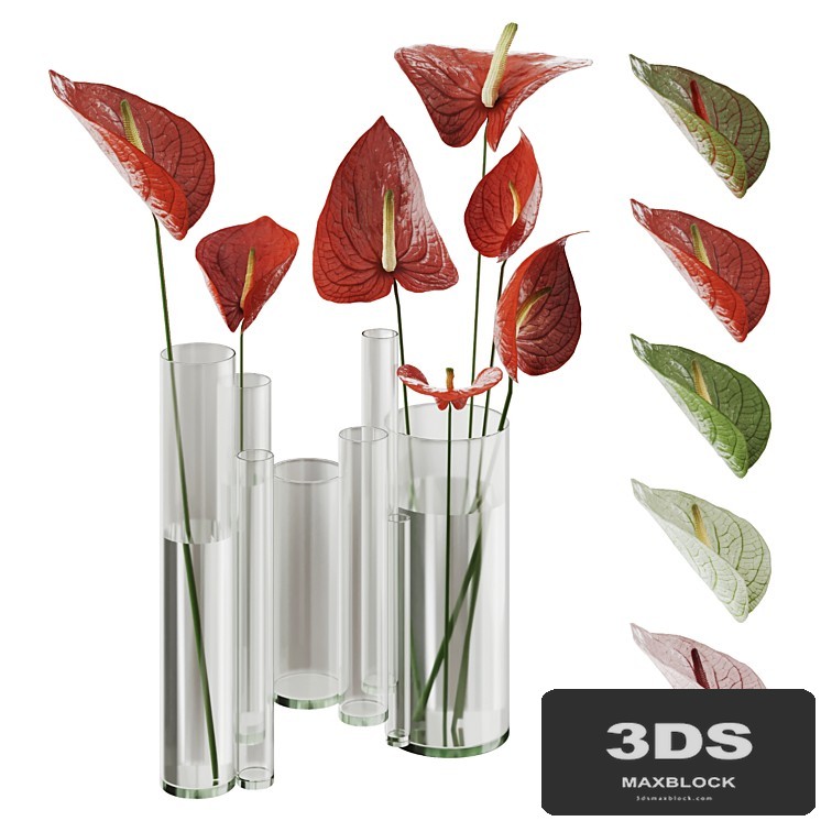 Bouquet of Anthuriums of Different Colors