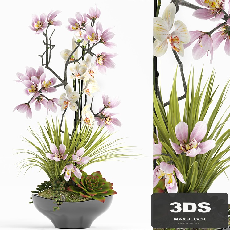 FLOWER SET 21